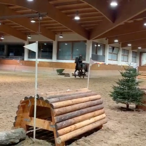 Wir können übrigens auch Vielseitigkeit! Unsere Lehrertrainer Andreas Hückelheim und Maja Kozian-Fleck haben die neuen H