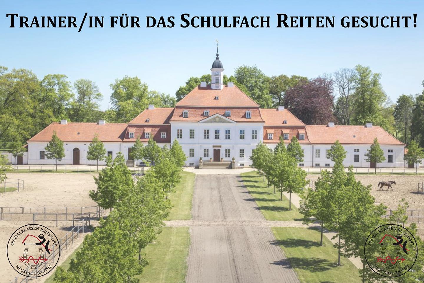 Die deutschlandweit einzige Schule, in der Reiten als echtes Schulfach unterrichtet wird, sucht ab 01.12. Verstärkung fü