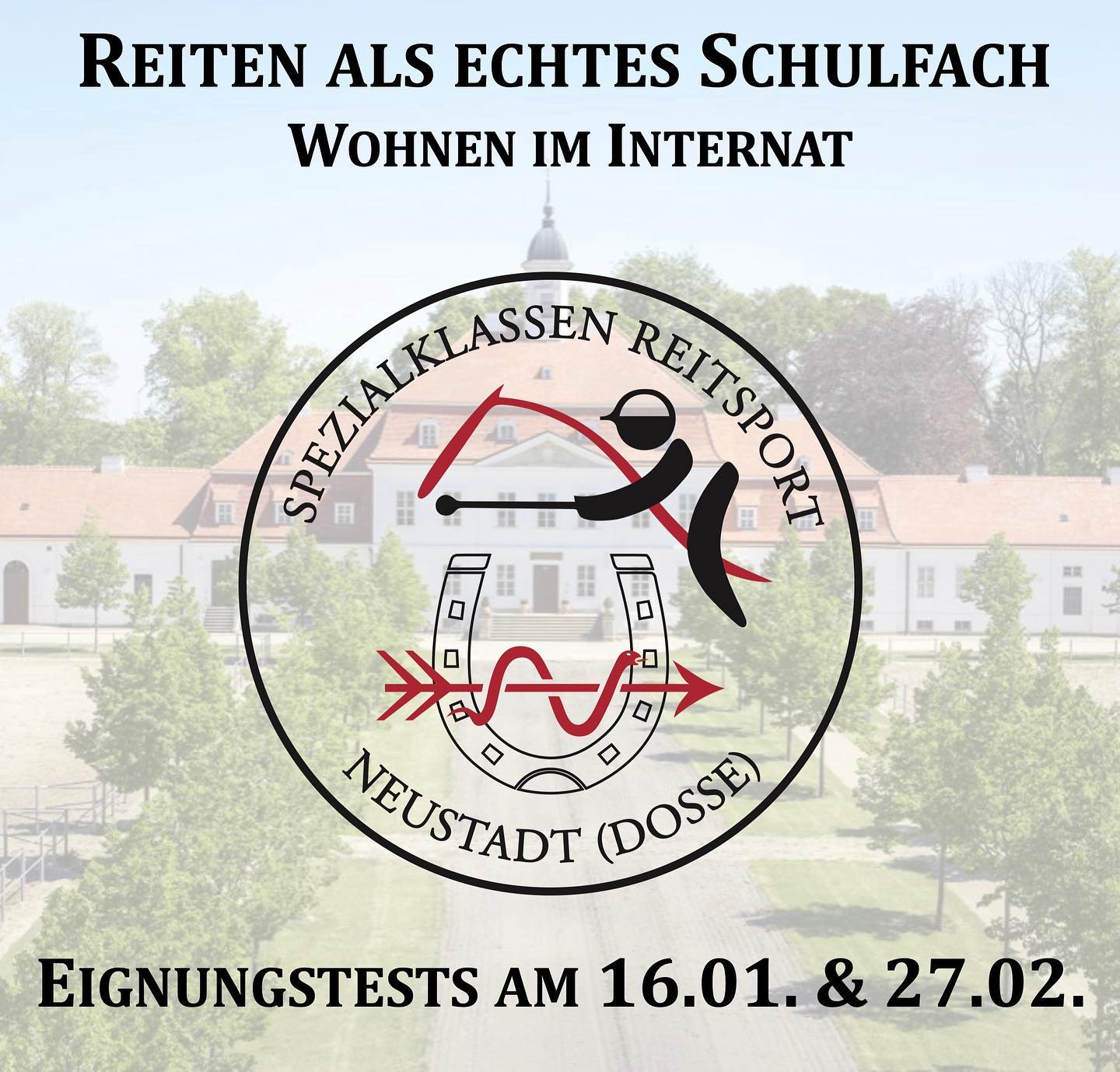 Du bist ein guter Reiter und gehst in die 6. oder 7. Klasse? Du könntest Dir vorstellen, im Internat zu wohnen und die 