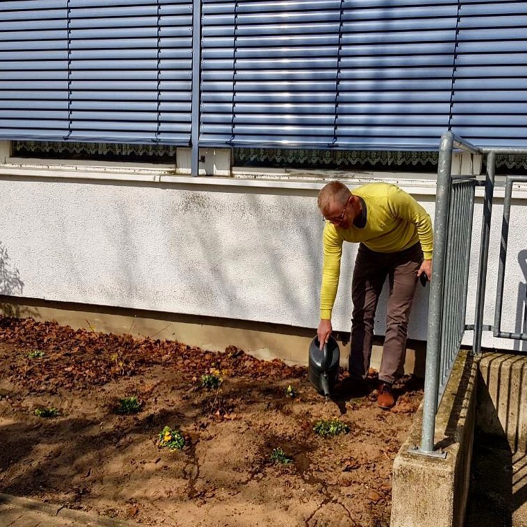 #auchblumensindchefsache #frühlingsgefühle #sonnenschein #cooleschule
