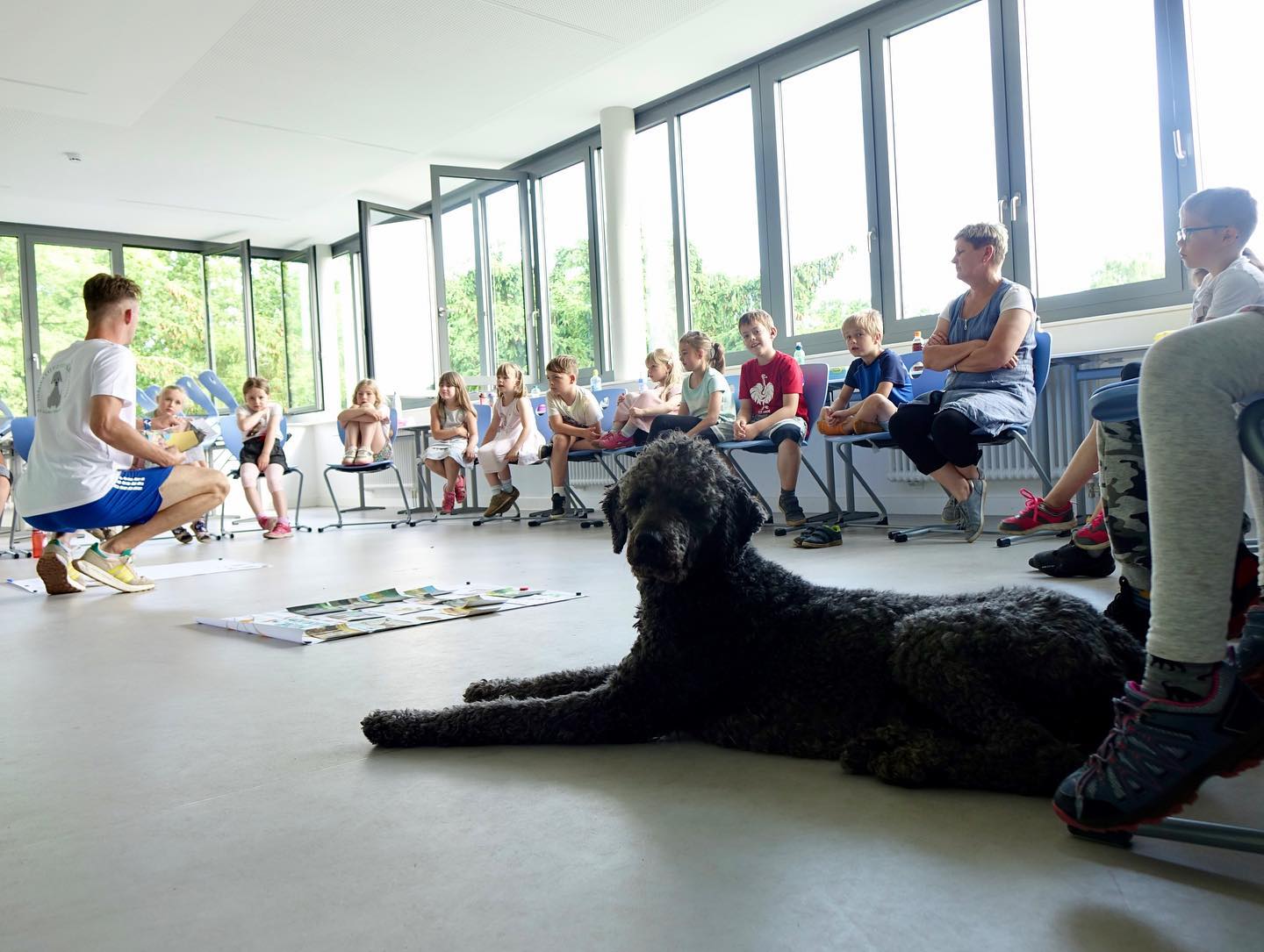 Bei der tiergestützten Arbeit mit Königspudel Luke werden an unserer Schule aktuell zwei Projekte angeboten. Im Projekt 