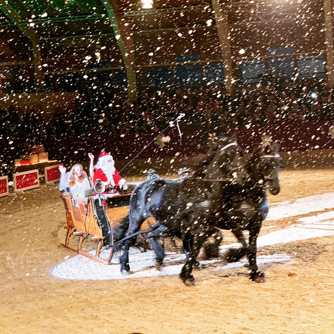 Weihnachtsgala 2018. Wie jedes Jahr haben unsere Schülerinnen und Schüler das Team des Brandenburgischen Haupt - und Lan