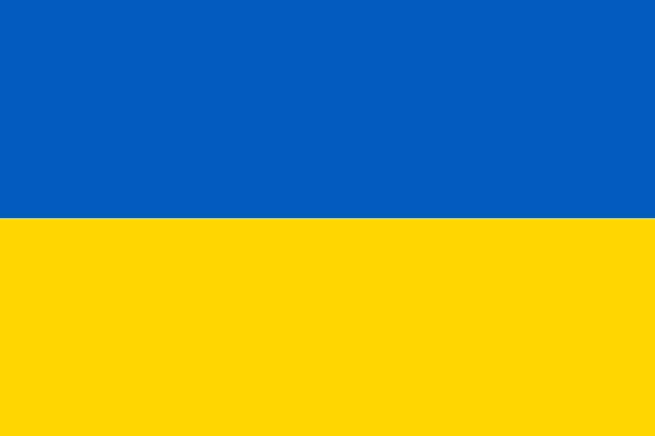 Ab dem kommenden Montag werden 24 ukrainische Schülerinnen und Schüler unsere Schule besuchen. Wir wollen die Eltern mit