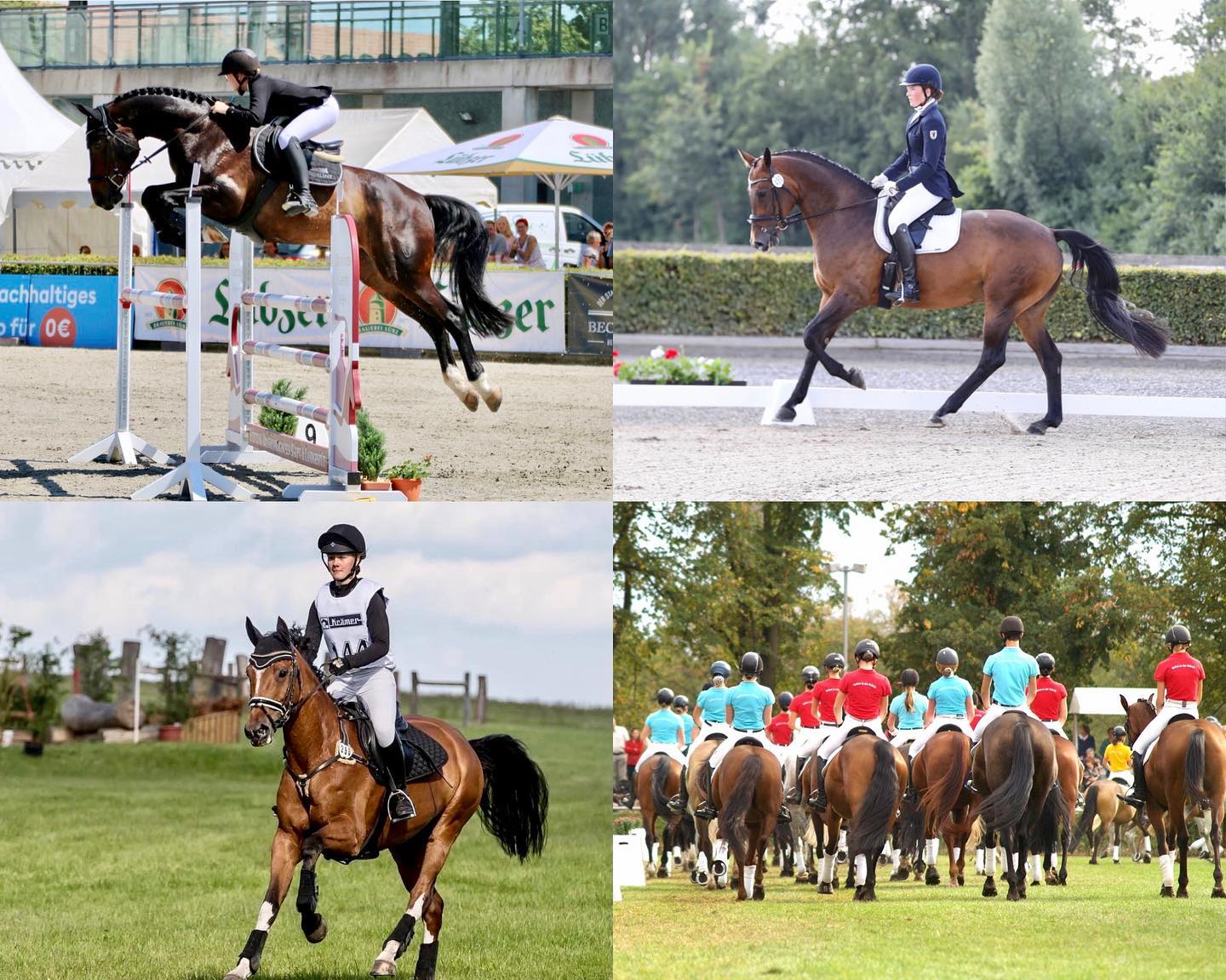 Bei uns wird dein Traum wahr: Reiten als benotetes Unterrichtsfach und Wohnen im Internat. In unseren Spezialklassen Rei