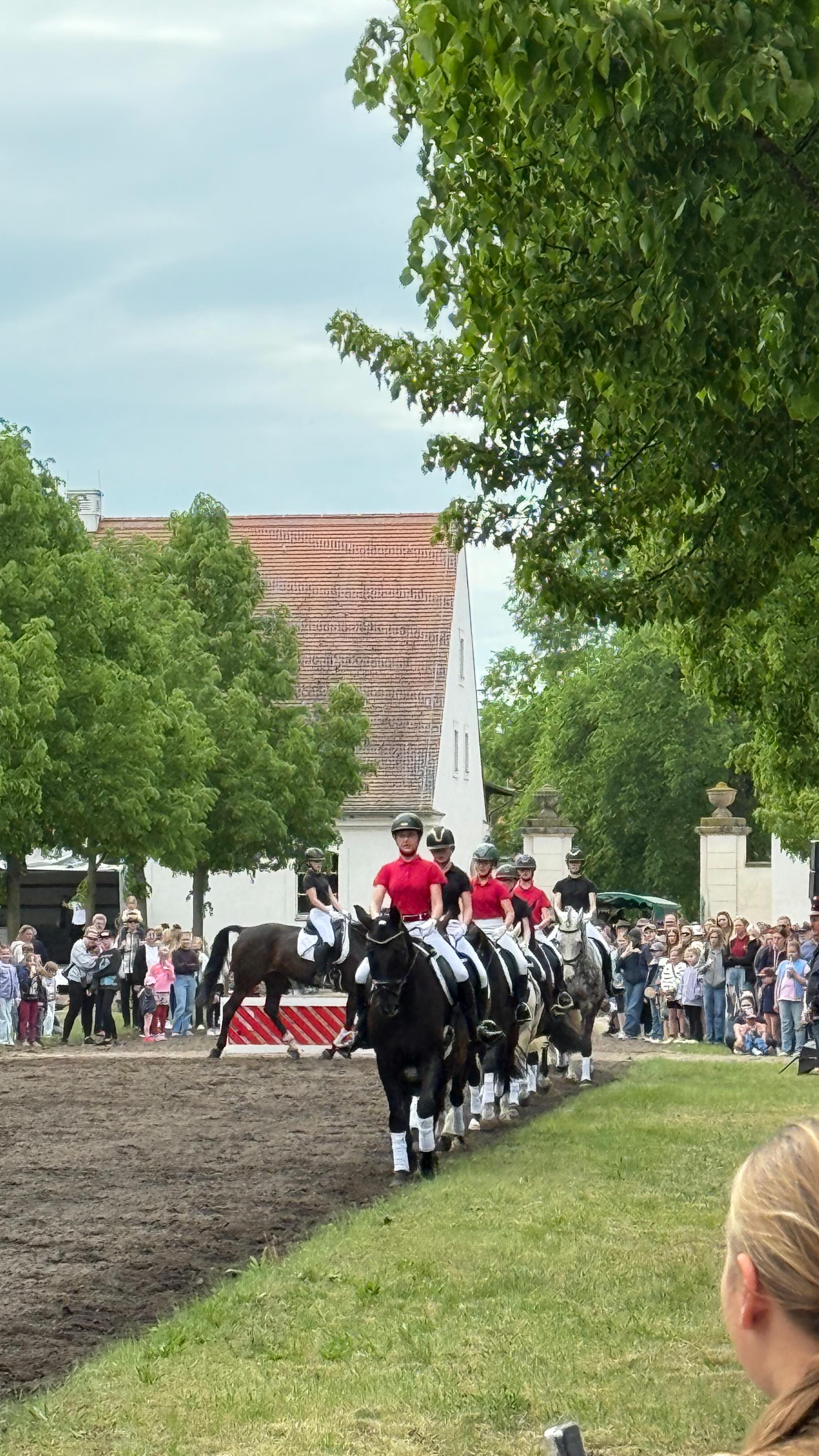 Was für ein Moment!
Unsere Schüler-Quadrille beim Fohlenfrühling 2025 im brandenburgischen Haupt- und Landgestüt @neusta
